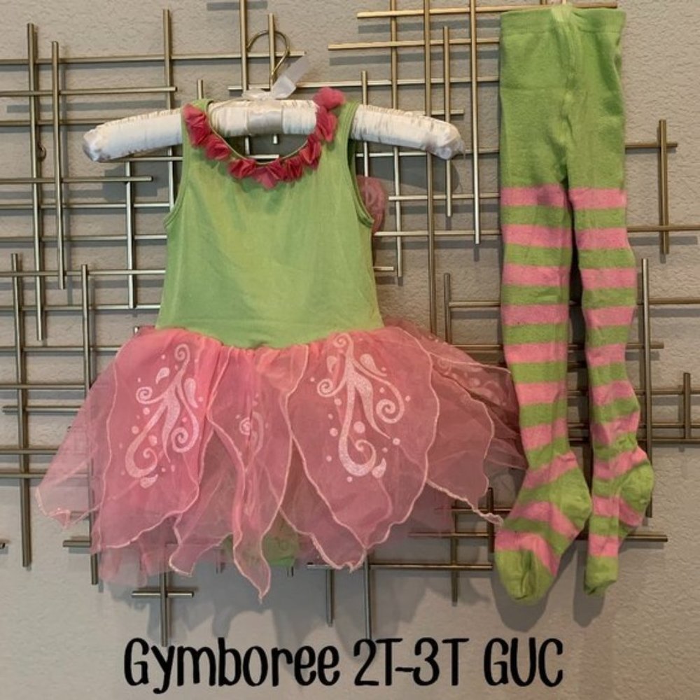 Gymboree 2-3 Butterfly Fairy Costume